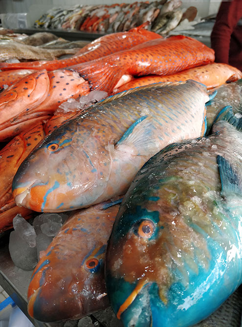 На саудовских рыбных рынках можно найти много разной рыбы, креветок, крабов, кальмаров