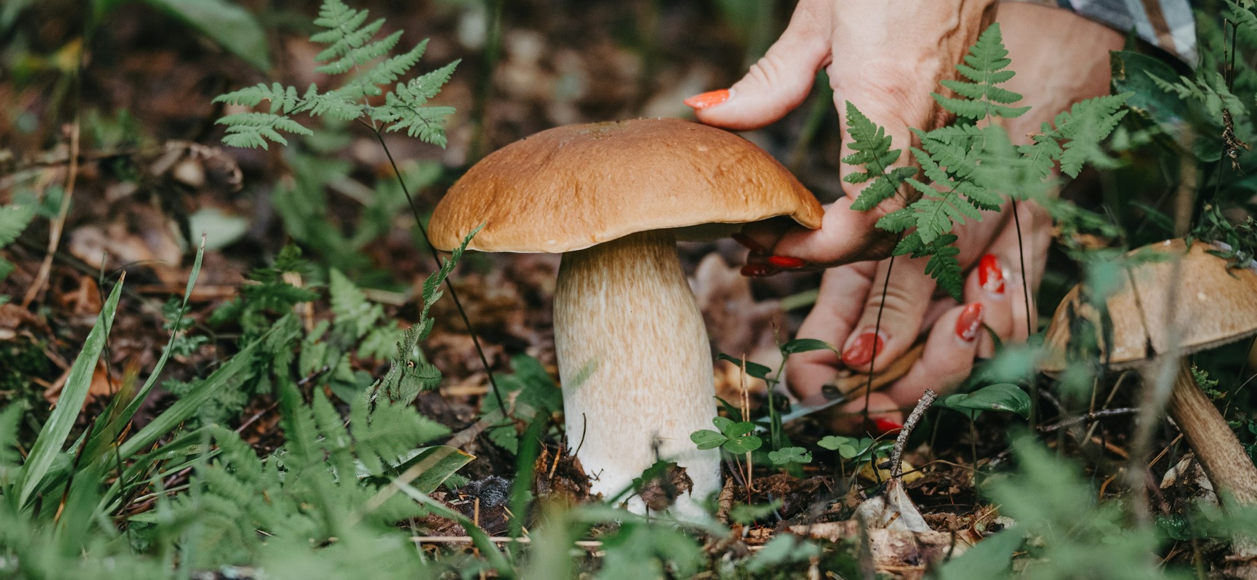 11 продуктов, богатых витамином D