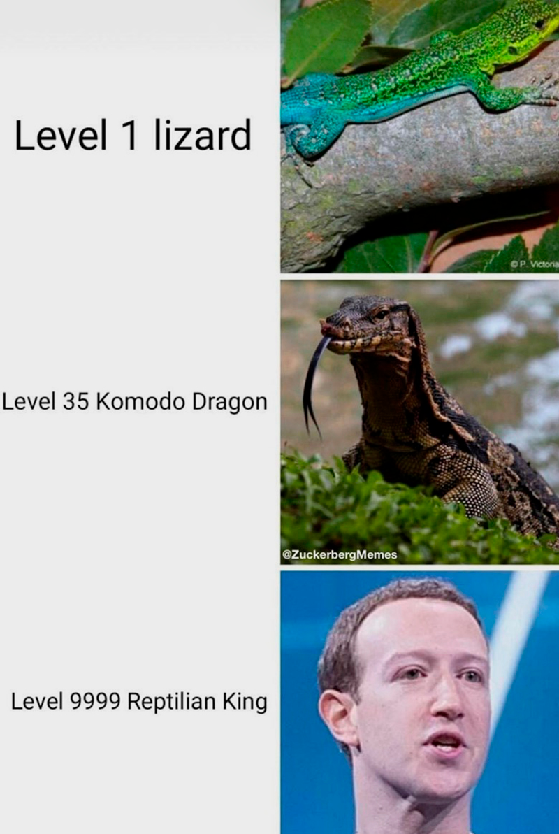 Типичный мем про Цукерберга: «Уровень 1 — ящерка. Уровень 35 — гигантский варан. Уровень 9999 — король рептилий»