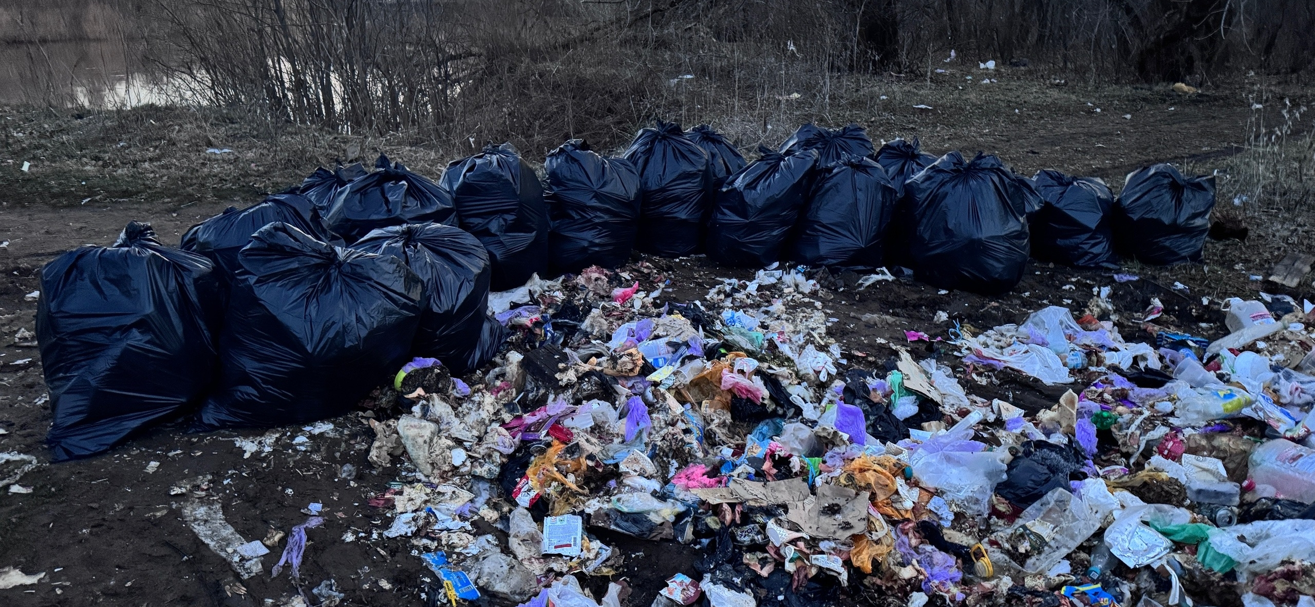 Фото с волонтерства: как мы убрали огромный Камаз мусора с берега реки Большой Кинель