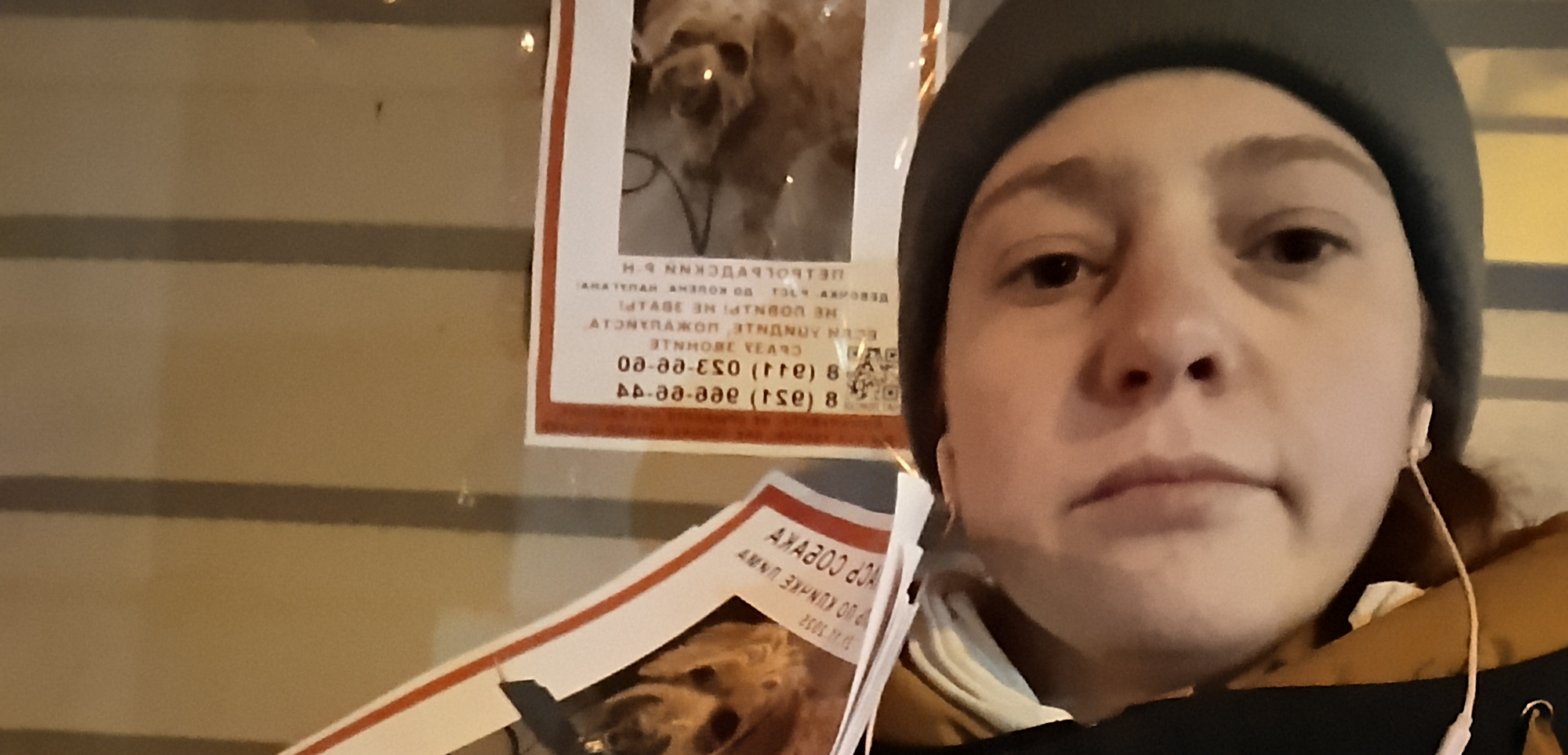 Фото с волонтерства: расклейка объявлений о поиске потерявшейся собаки