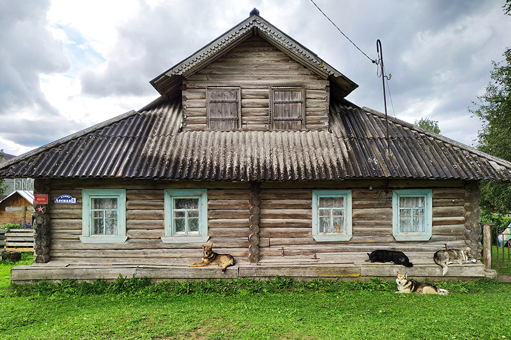 Типичный дом на Русском Севере, в Кенозерском парке
