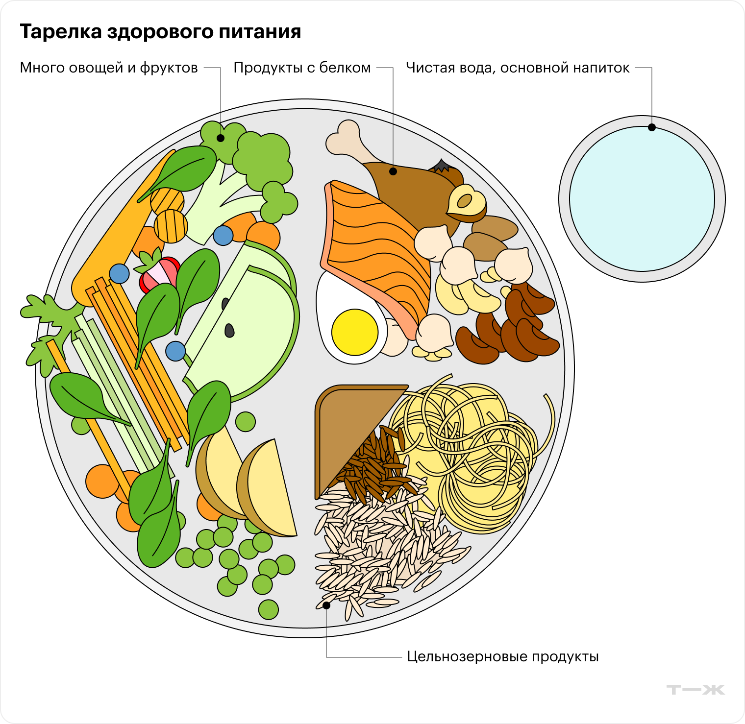 Тарелку диаметром с ладонь человека с растопыренными пальцами наполовину заполняют овощами, на четверть — белковой пищей и на четверть — цельнозерновой