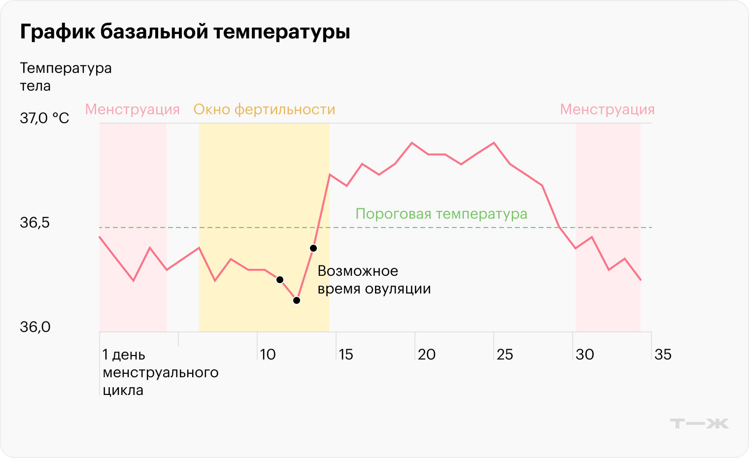 Определить овуляцию можно по снижению до минимальных для цикла значений и следующего за ним повышения температуры, которая продолжает расти в течение одного-двух дней