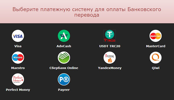 Для уплаты комиссии на сайте «казино» предлагают разные платежные системы, но карты не сработают — доступны только анонимные способы