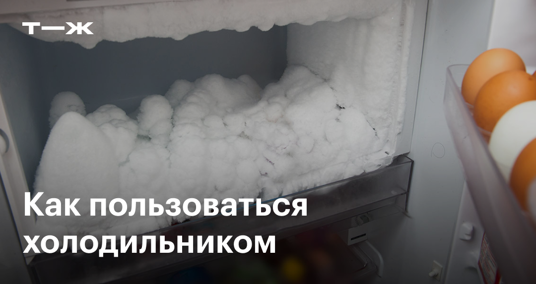 Как пользоваться холодильником: как мыть внутри и снаружи, как ...