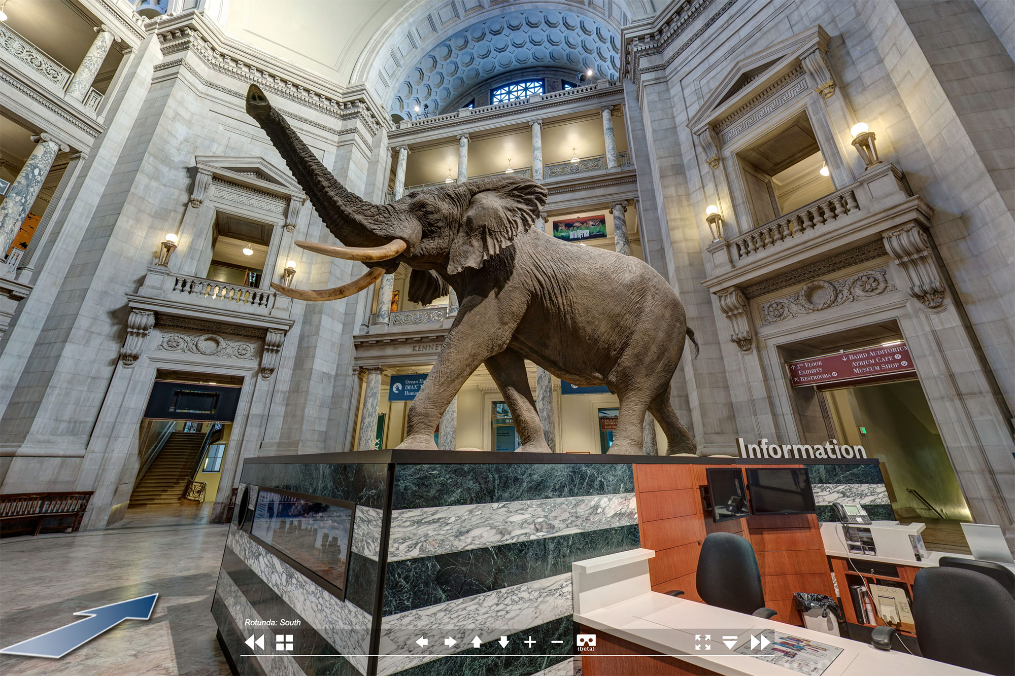У входа в музей посетителей встречает огромное чучело слона