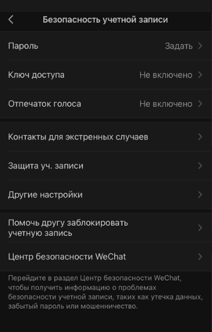 В самом приложении настроек безопасности и конфиденциальности немного: привязка к аккаунту Apple и электронной почте, создание ключа доступа. Из любопытного — отпечаток голоса для входа