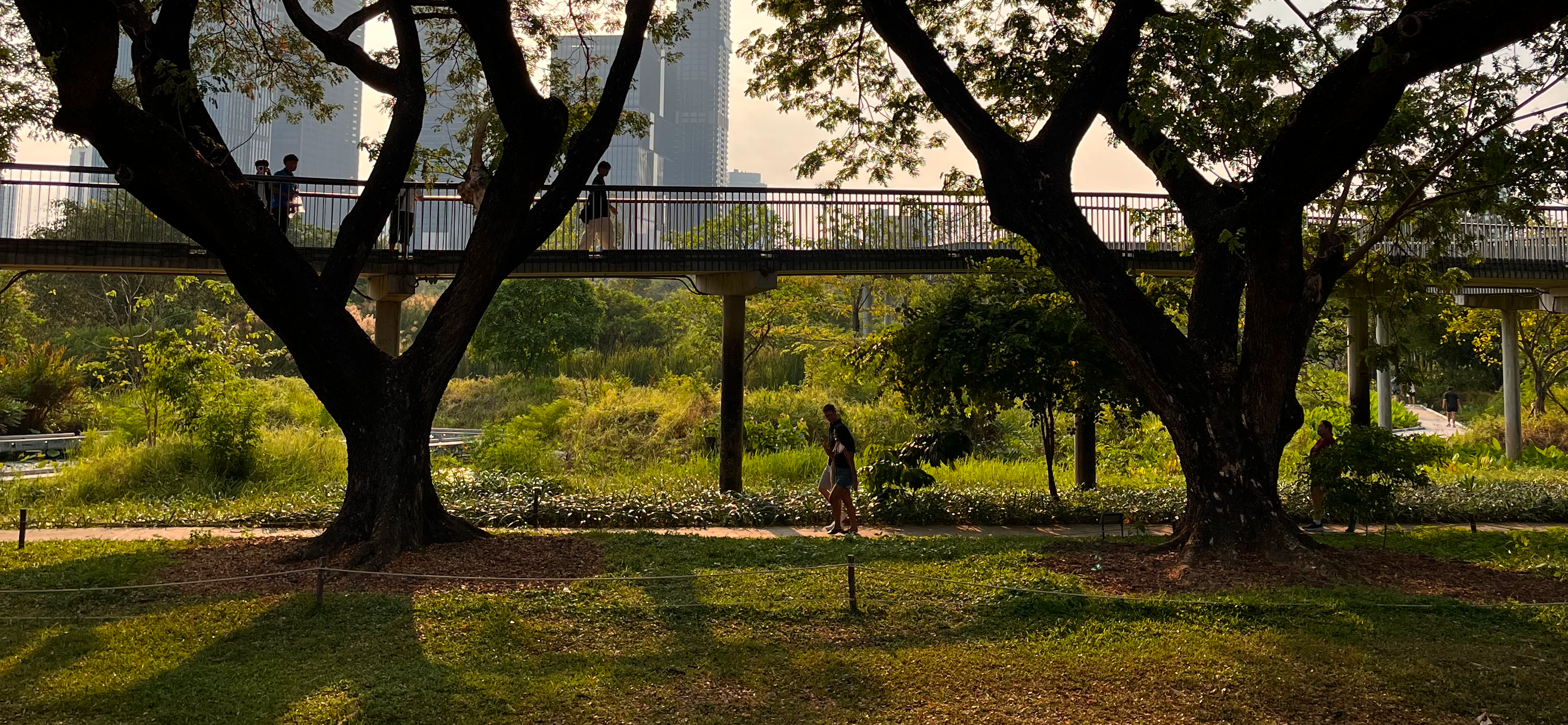 Как мы провели выходные в Бангкоке