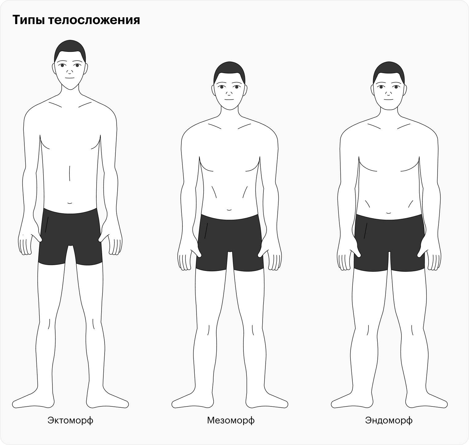 Типы телосложения: как определить соматотип, различия эктоморфа ...