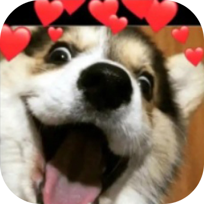 Dog meme sticker WAStickerApps