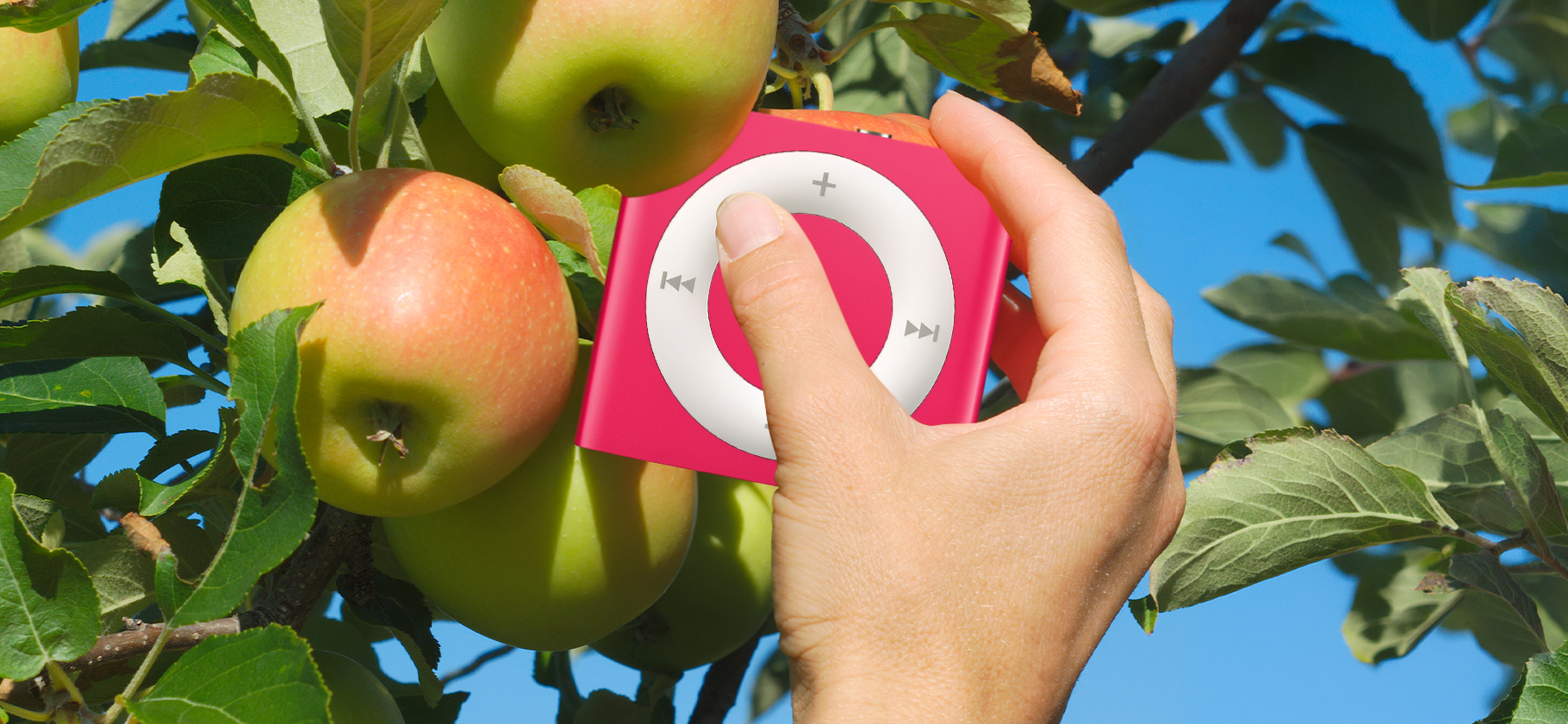 «Лежит красиво в родной коробке, как Ленин на Крас­ной площади»: 8 устройств, за кото­рые любят Apple