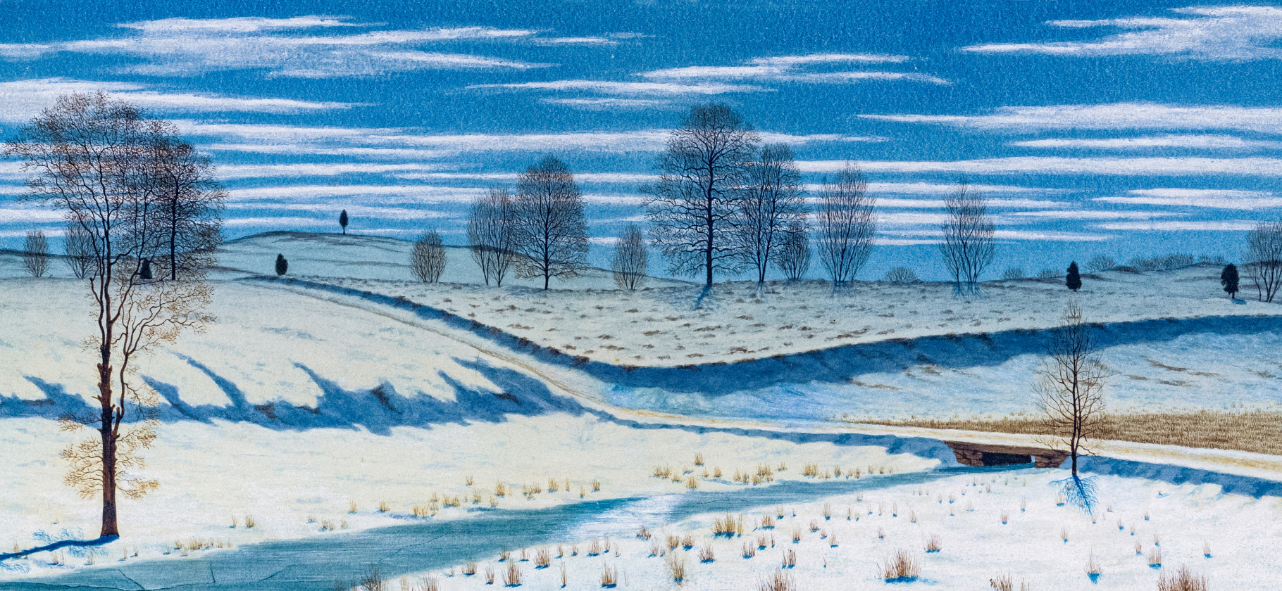 Снимали на пленку во время новогодних каникул? Покажите фото