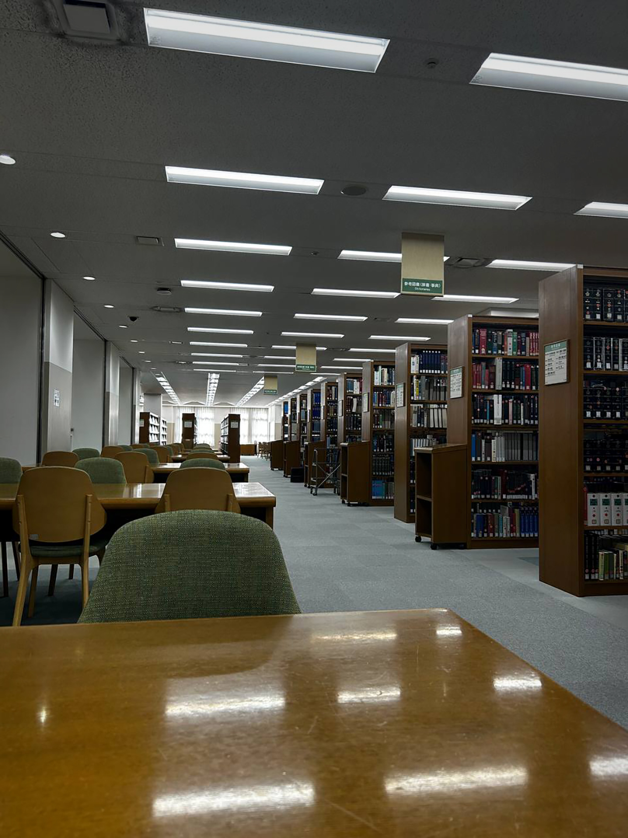 У университета огромная библиотека, где есть как научная, так и художественная литература. Я несколько раз оставалась там почитать