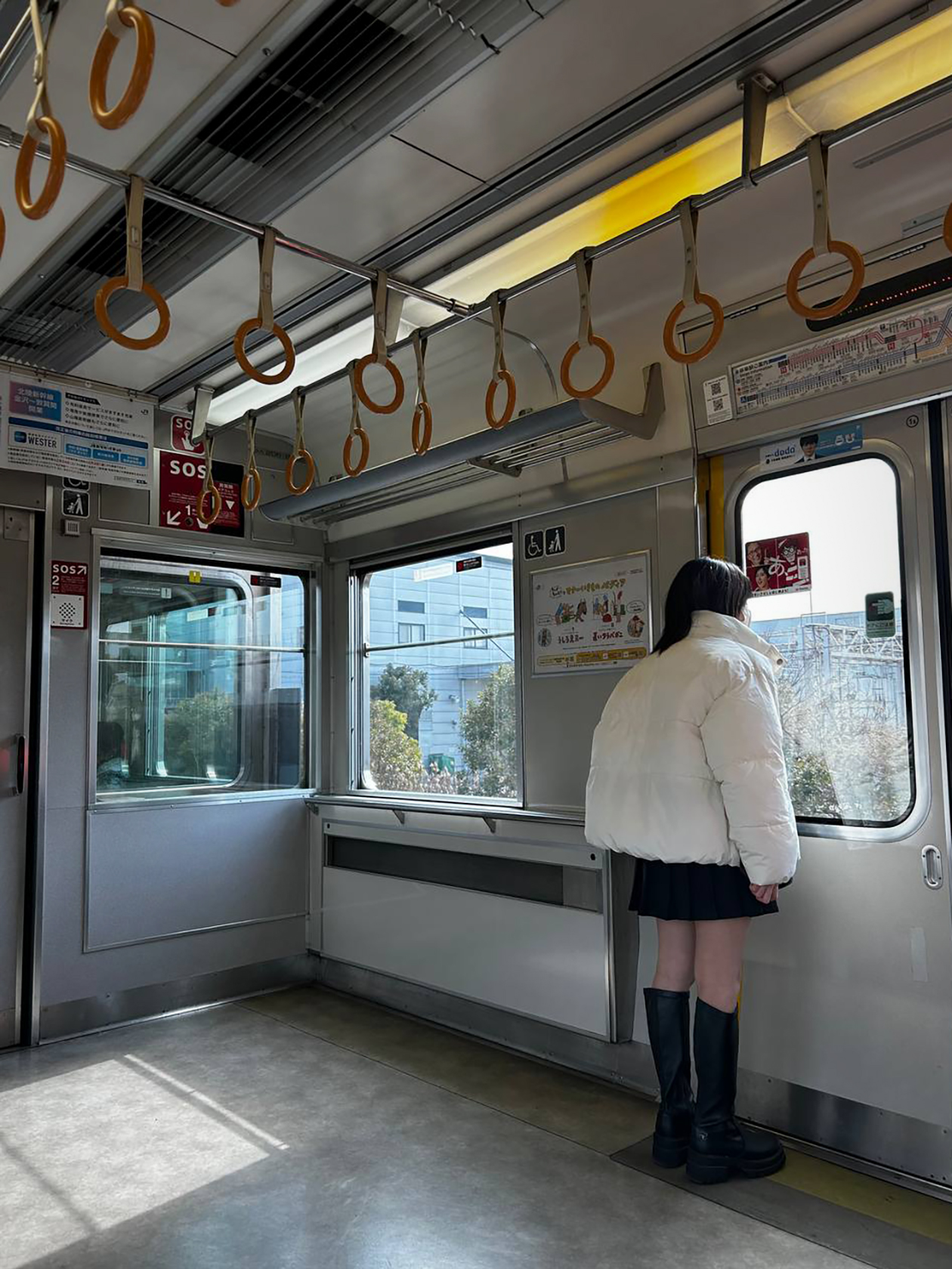 Междугородний поезд в Кобе