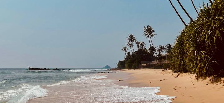 Как я жила на Шри-Ланке