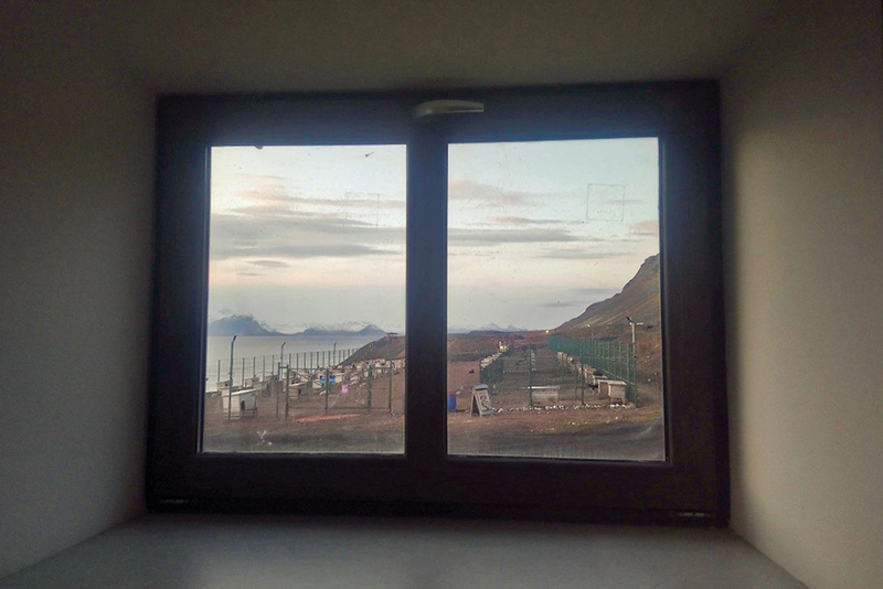 Питомник из окна дежурной комнаты. Фото из архива Елены Поцелуевой