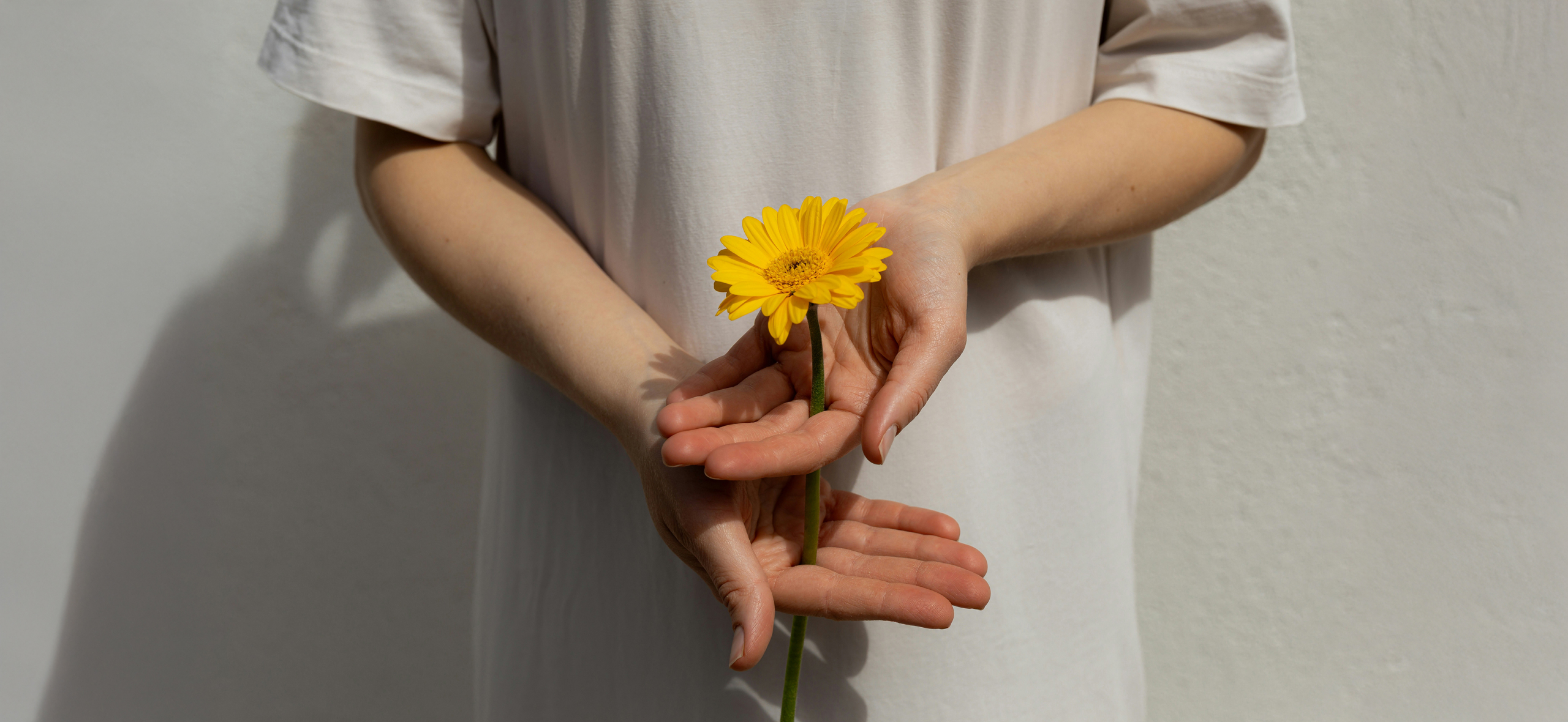 Как формируется мировоззрение