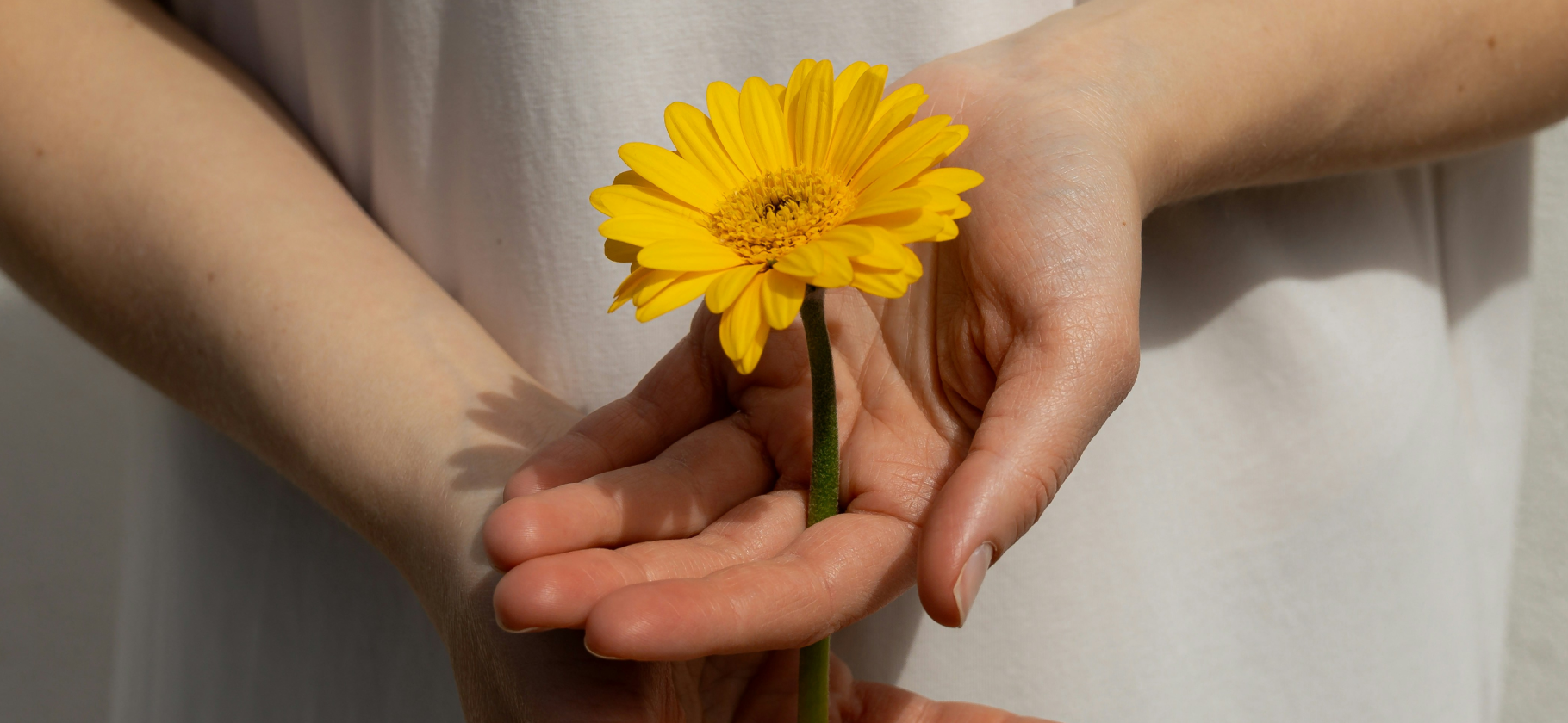 Как формируется мировоззрение