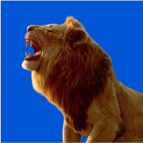 Обложка статьи