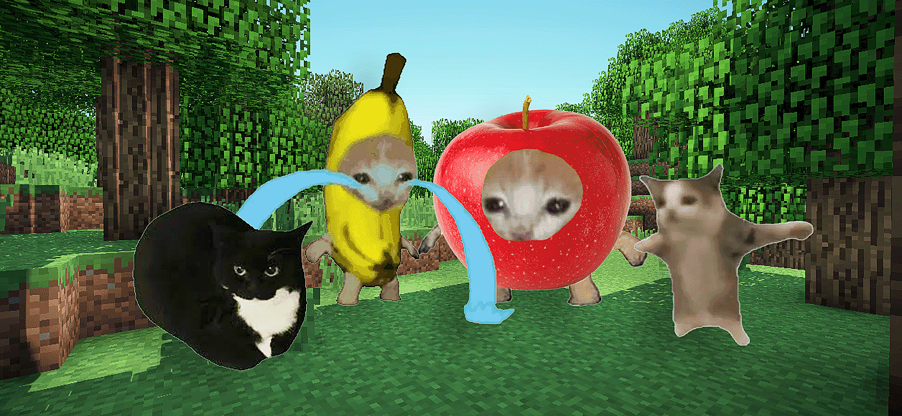 Плачущий кот-банан, Максвелл и Happy Happy Happy: откуда появились мемные видео с котами
