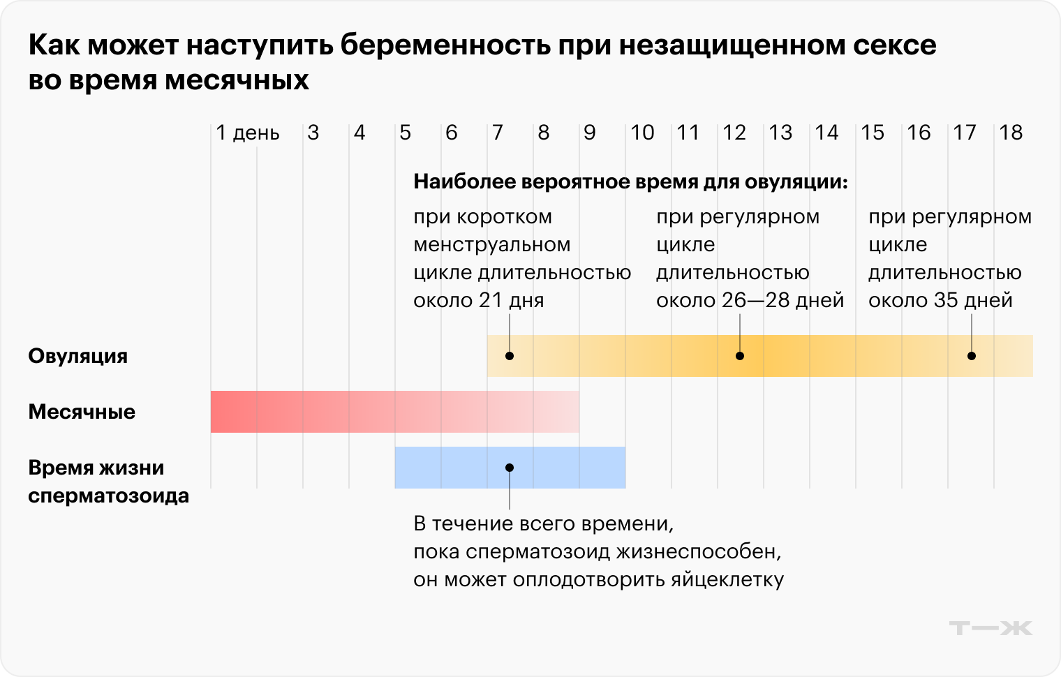 Беременность может наступить при незащищенном сексе во время месячных, если овуляция произойдет во время этих дней или вскоре после них