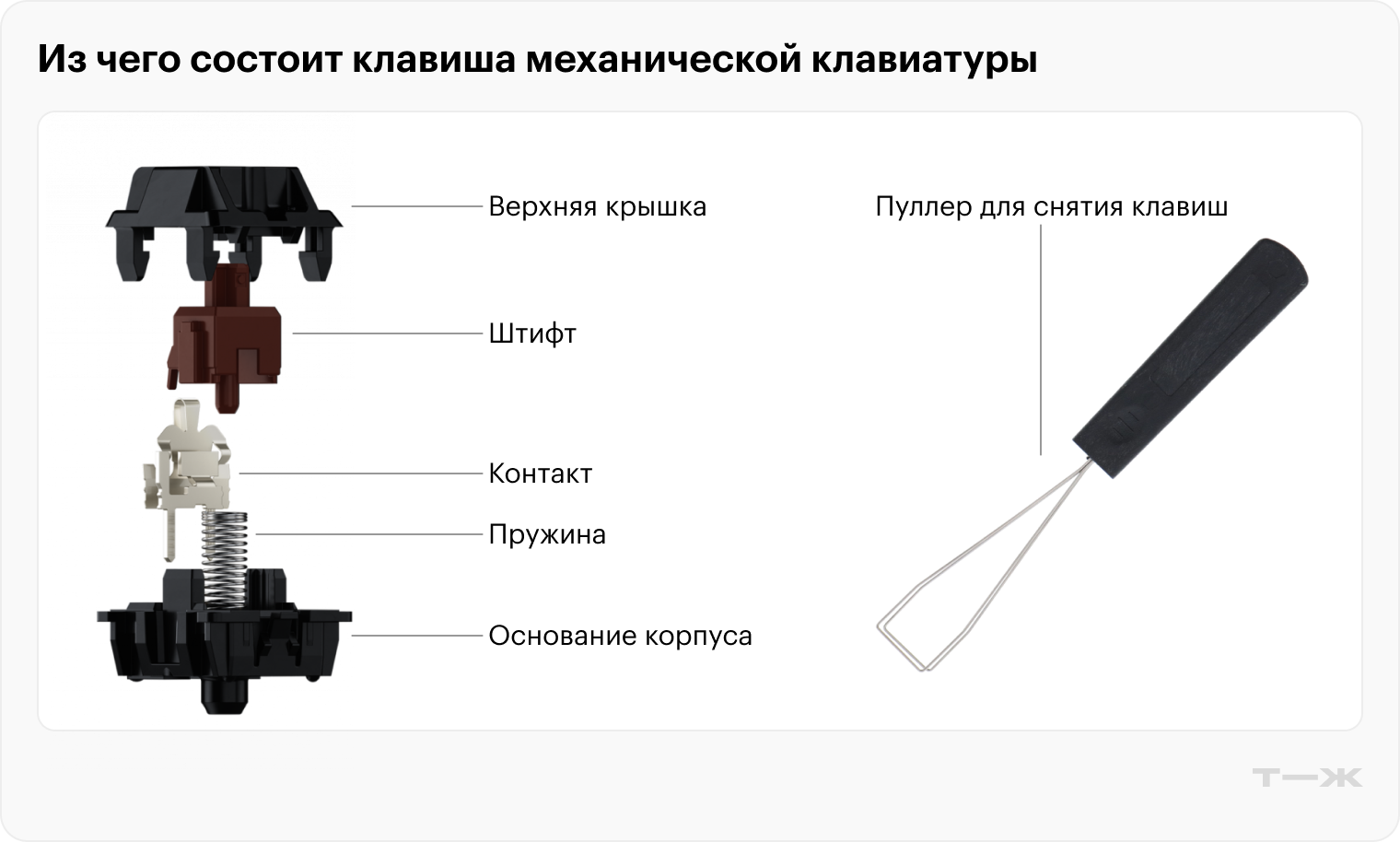 Верхняя и нижняя части корпуса держатся на защелках. Их довольно трудно вскрыть без специального инструмента, но стоит он недорого — порядка 300 ₽