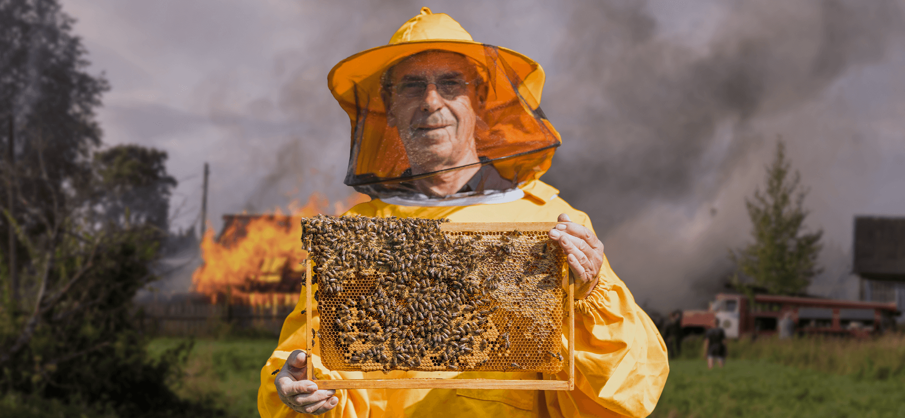 Сгоревший дом и борьба с пчелами: 8 соседских споров, дошедших до суда