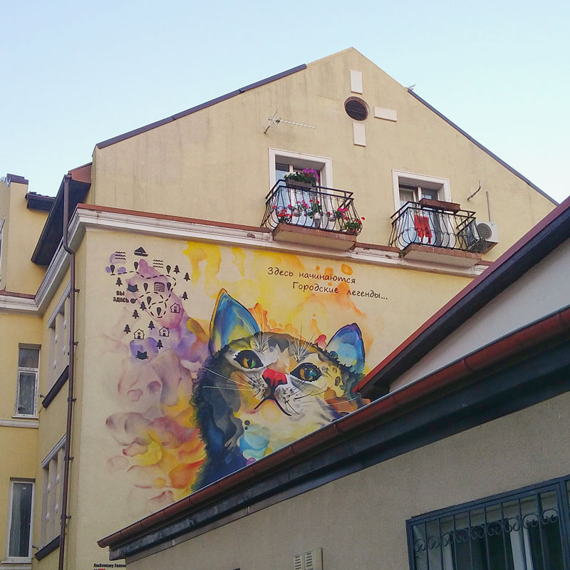 В городе много кошачьих портретов на стенах домов. Фото: Эдуард Коленков