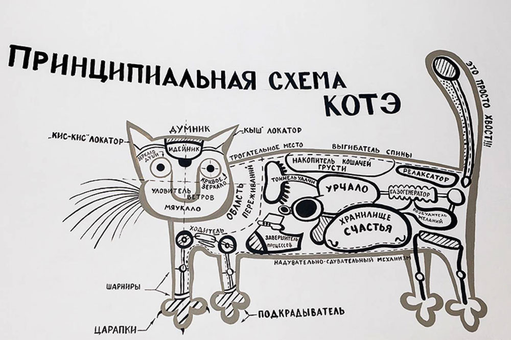 Так устроен кот. Источник: 2doks.ru