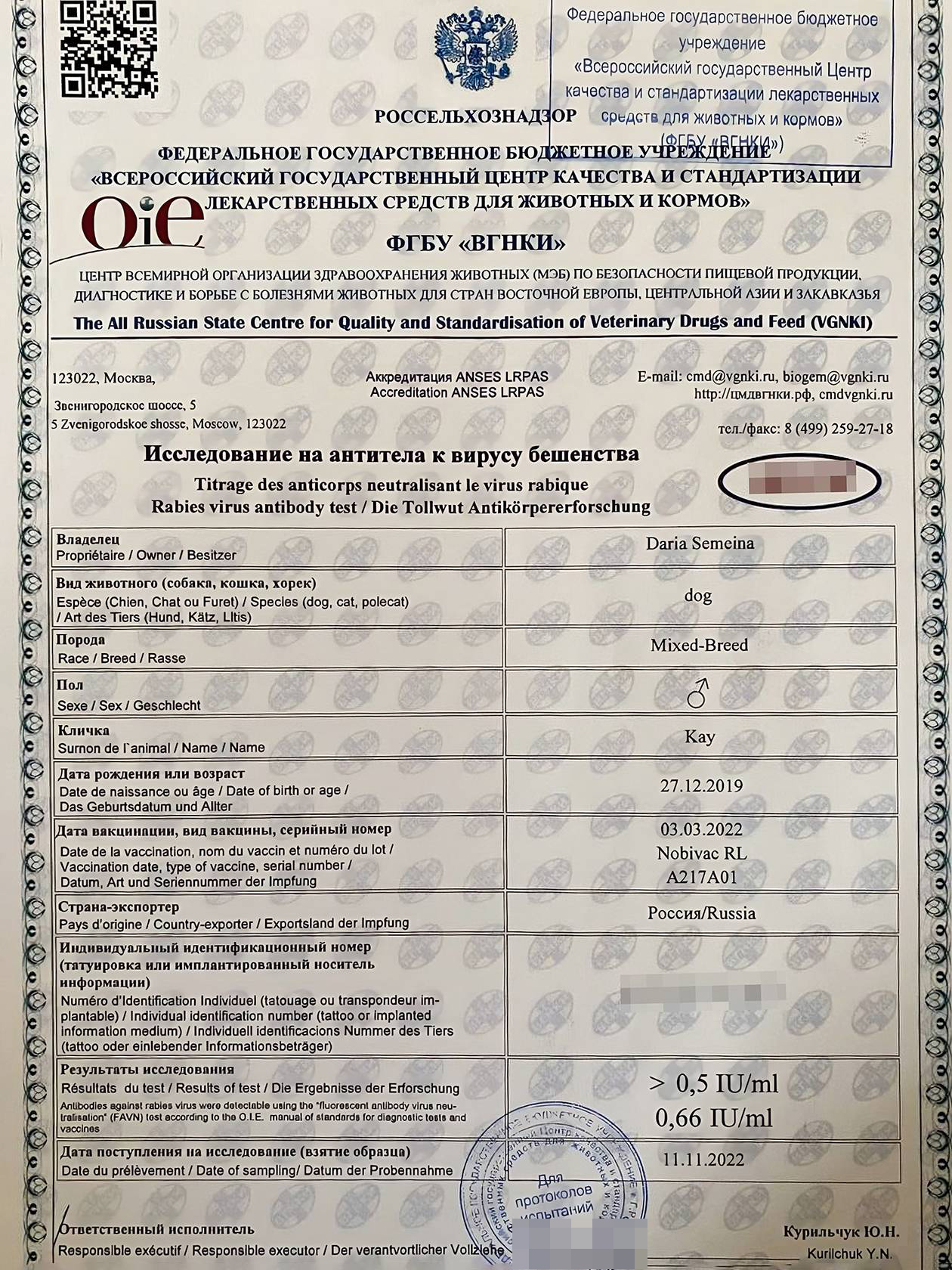 Титр антител в сыворотке крови животного должен быть не ниже 0,5 МЕ/мл. Если значение меньше, нужна повторная вакцинация. У Кая с антителами все в порядке — 0,66 МЕ/мл