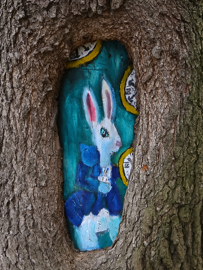 Рисунок «Алиса в стране чудес» на одном из деревьев в парке. А справа дерево с «Мышиным замком». Его можно найти у музея Паустовского. Источник: mos.ru