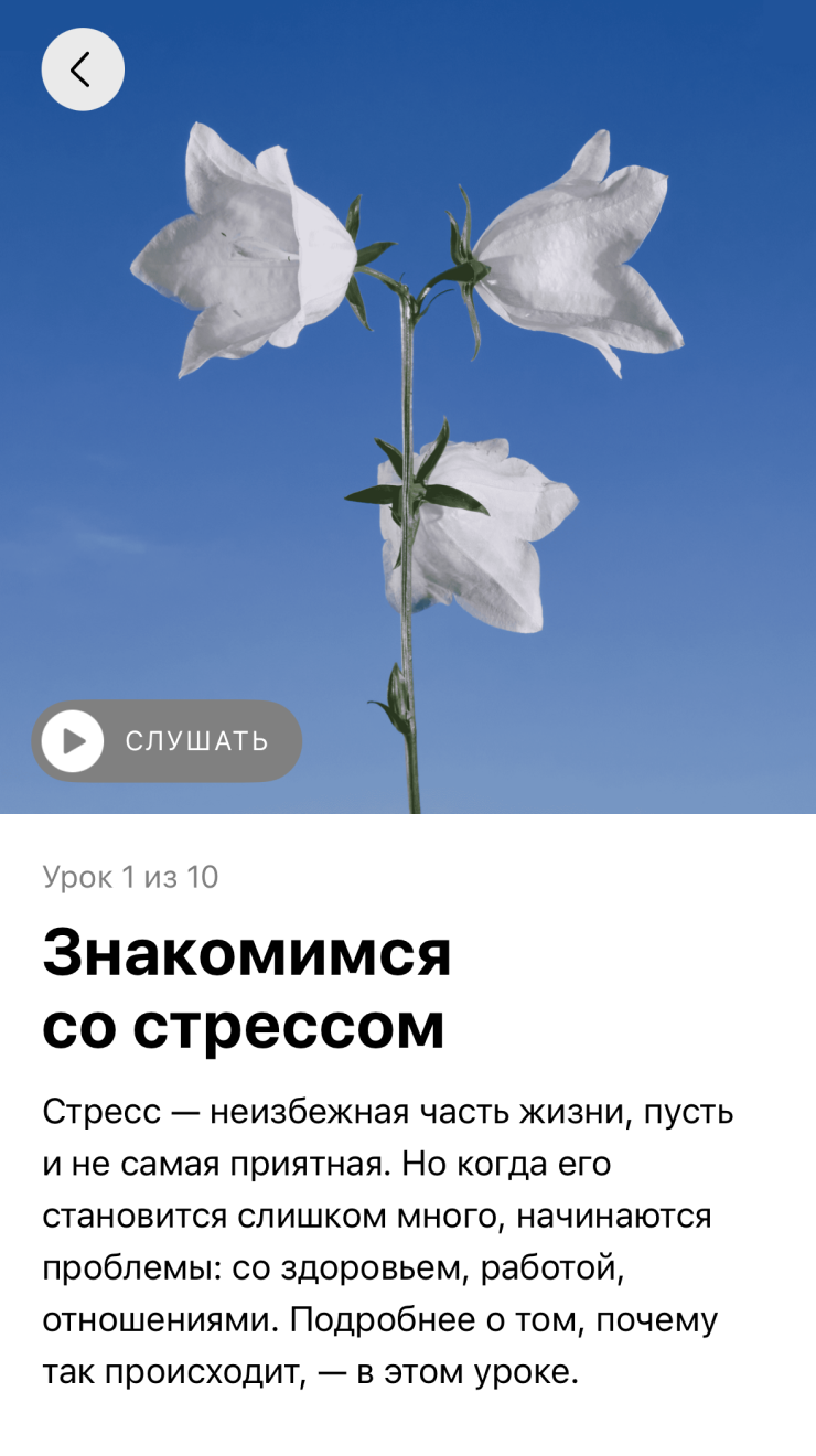 Советуем наш аудиокурс
