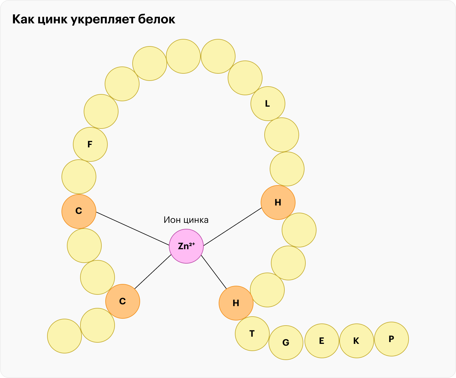 БАДы с цинком: состав, эффективность, польза и вред, как выбрать и стоит ли  принимать