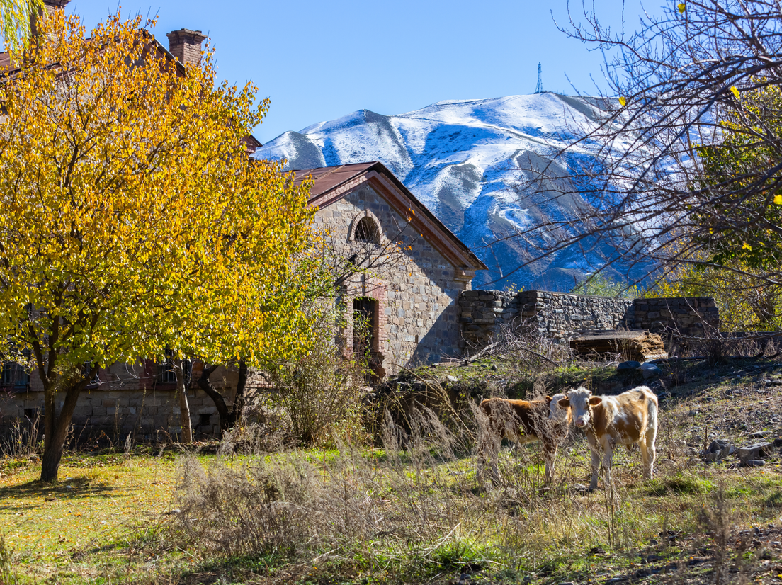 Село Ахты, фото