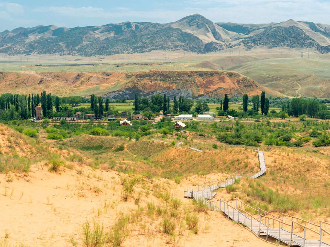 Животные на бархане, фото