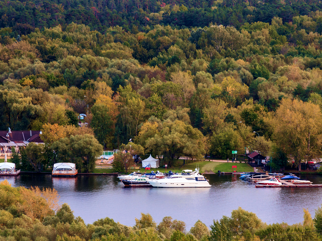 Серебряный бор, фото