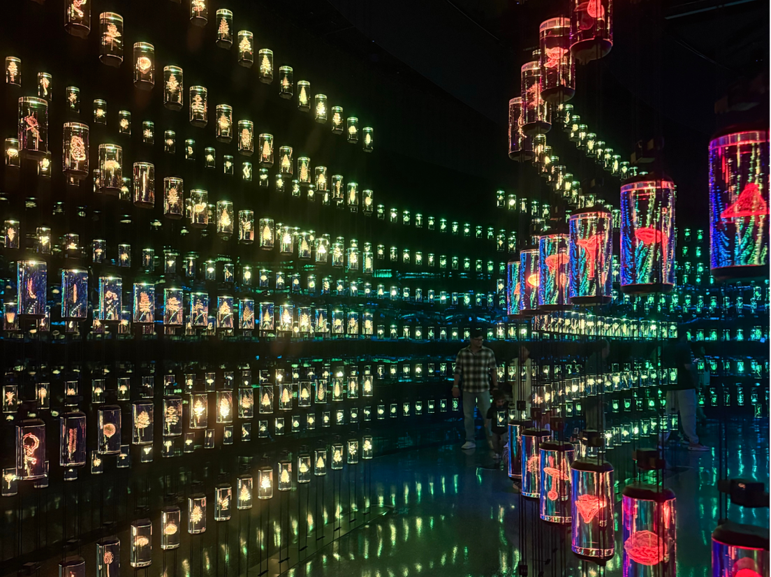 Библиотека ДНК в Дубае