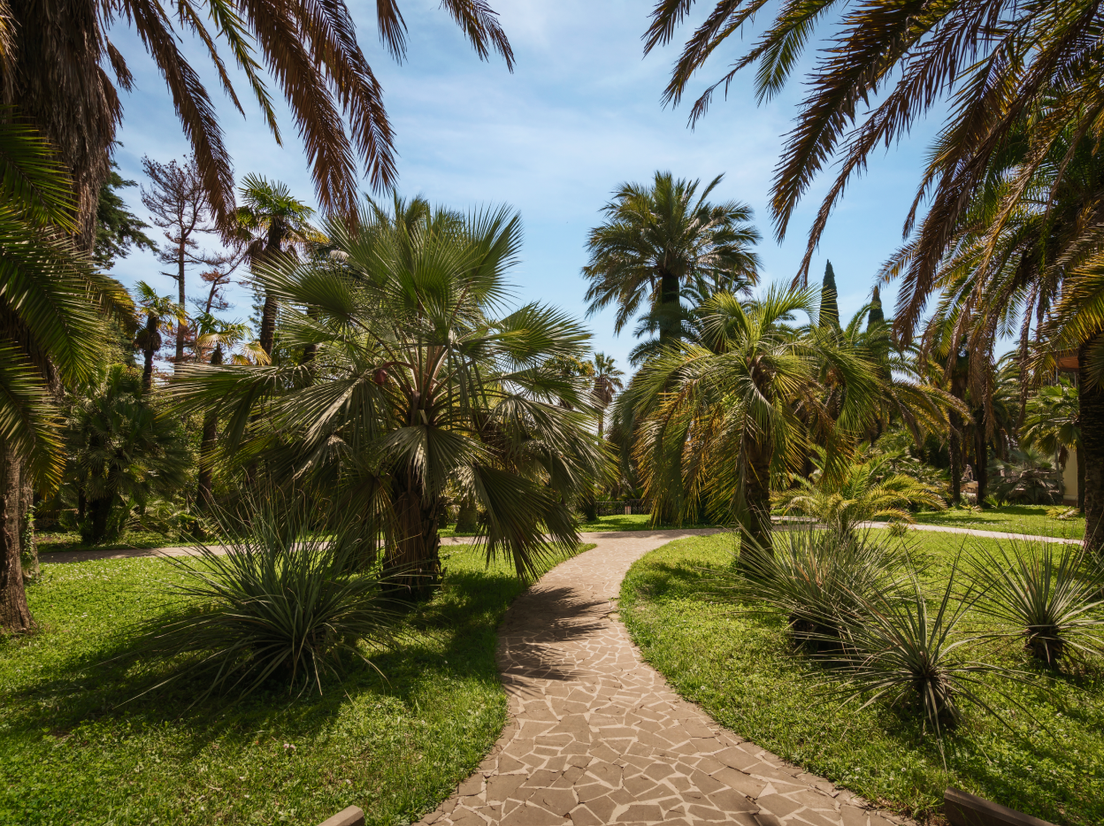 Сочинский дендрарий фото