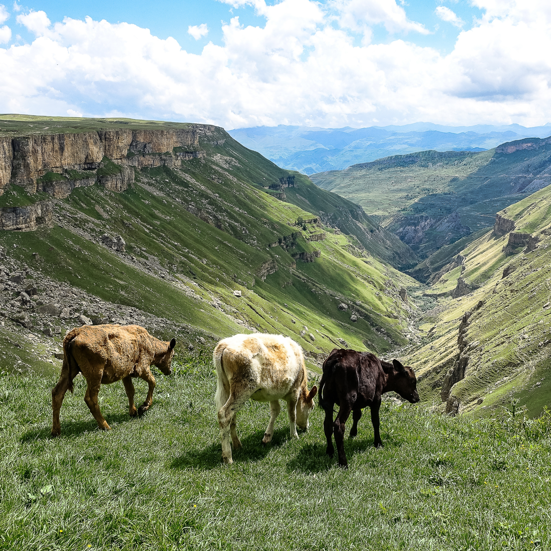 Плато Матлас, фото