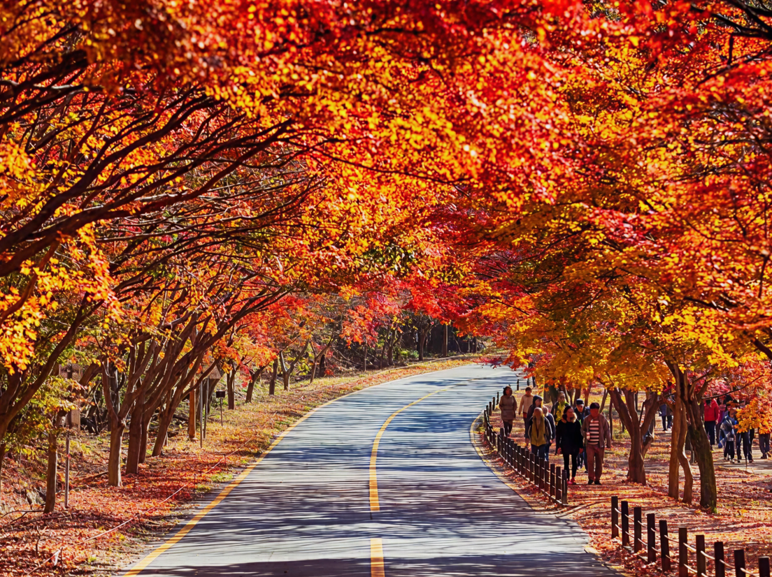 Пейзаж парка Нэчжансан