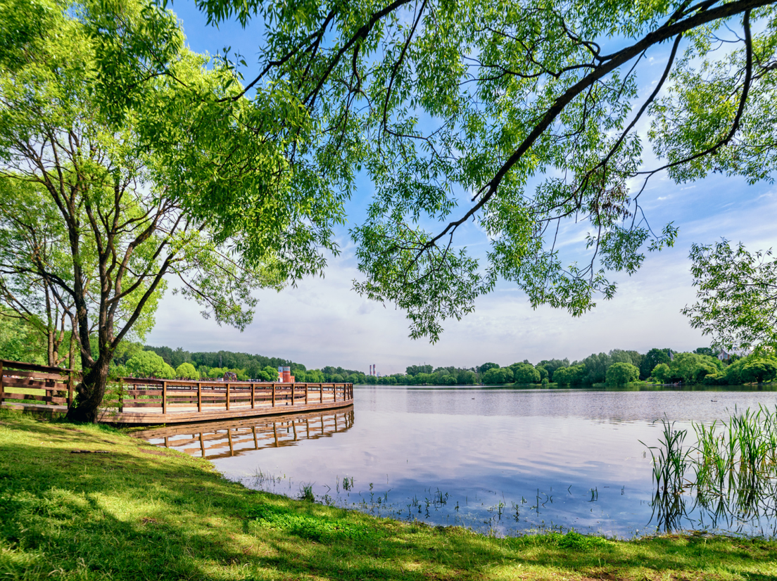 Майские выходные в Москве: пикник в парке