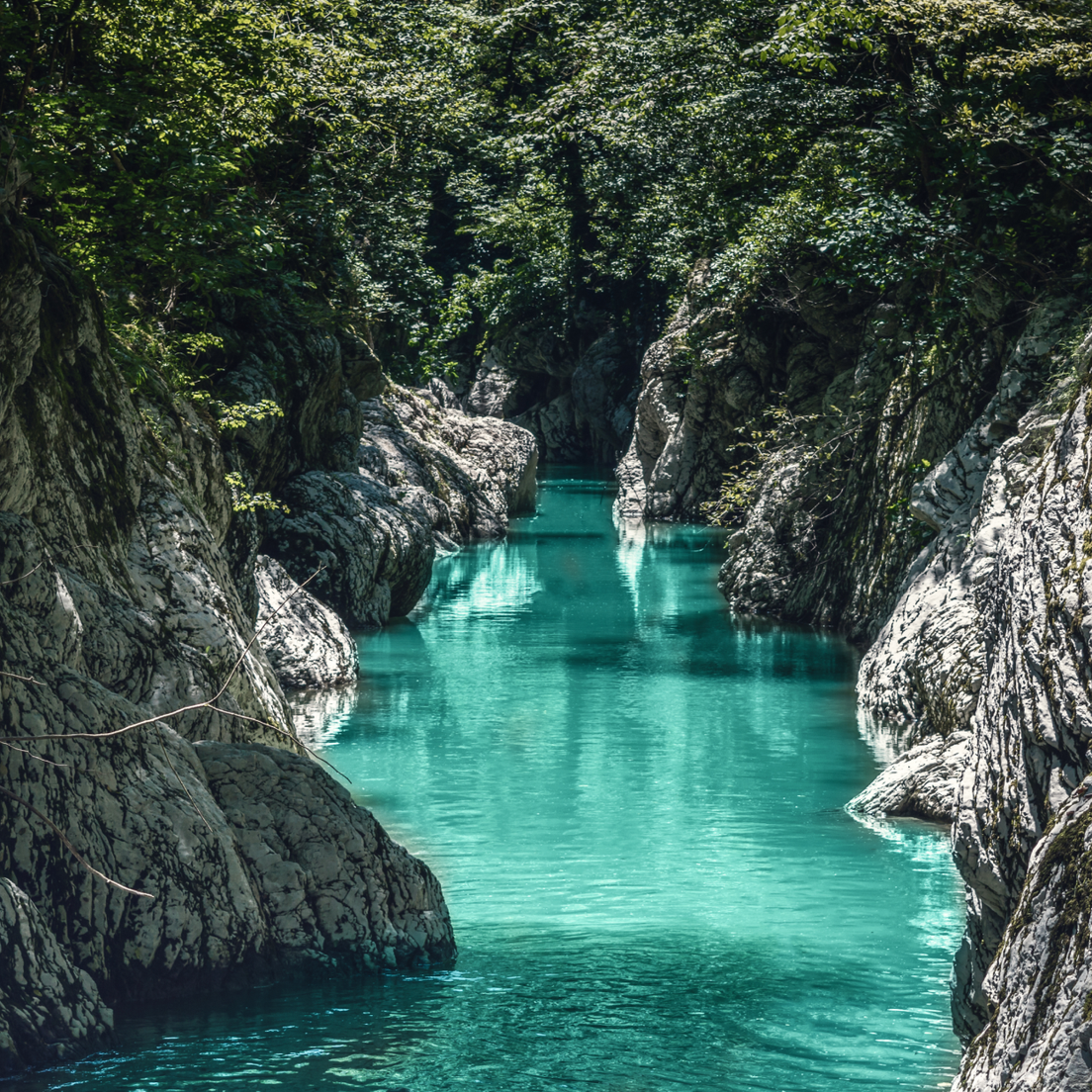 Скалы Тисо-самшитовой рощи фото