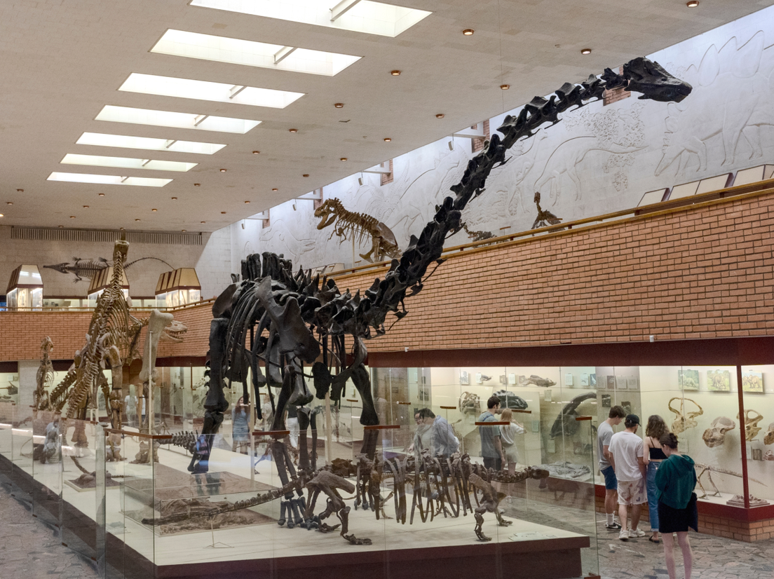 Музей имени Юрия Орлова фото