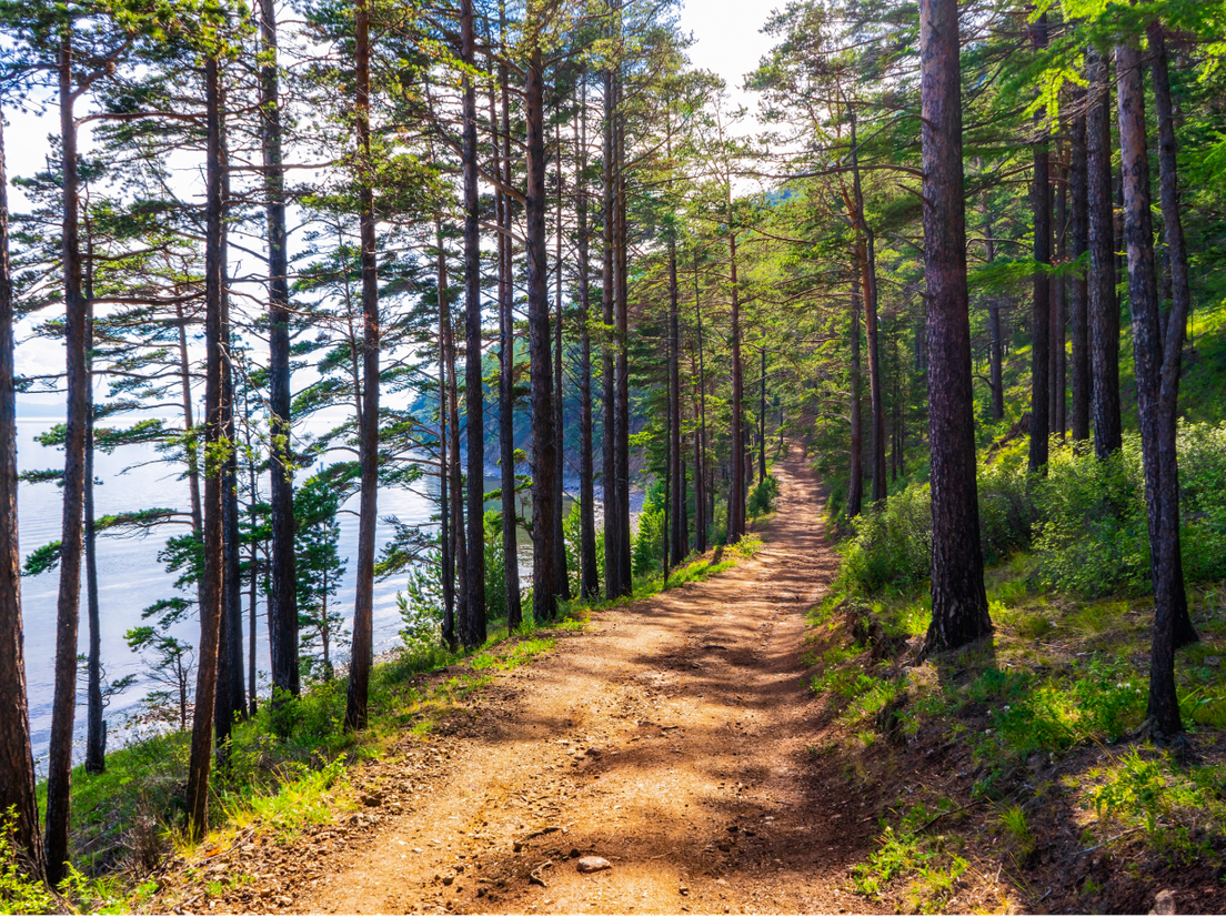 Маршруты для хайкинга: «Листвянка — Большие Коты»
