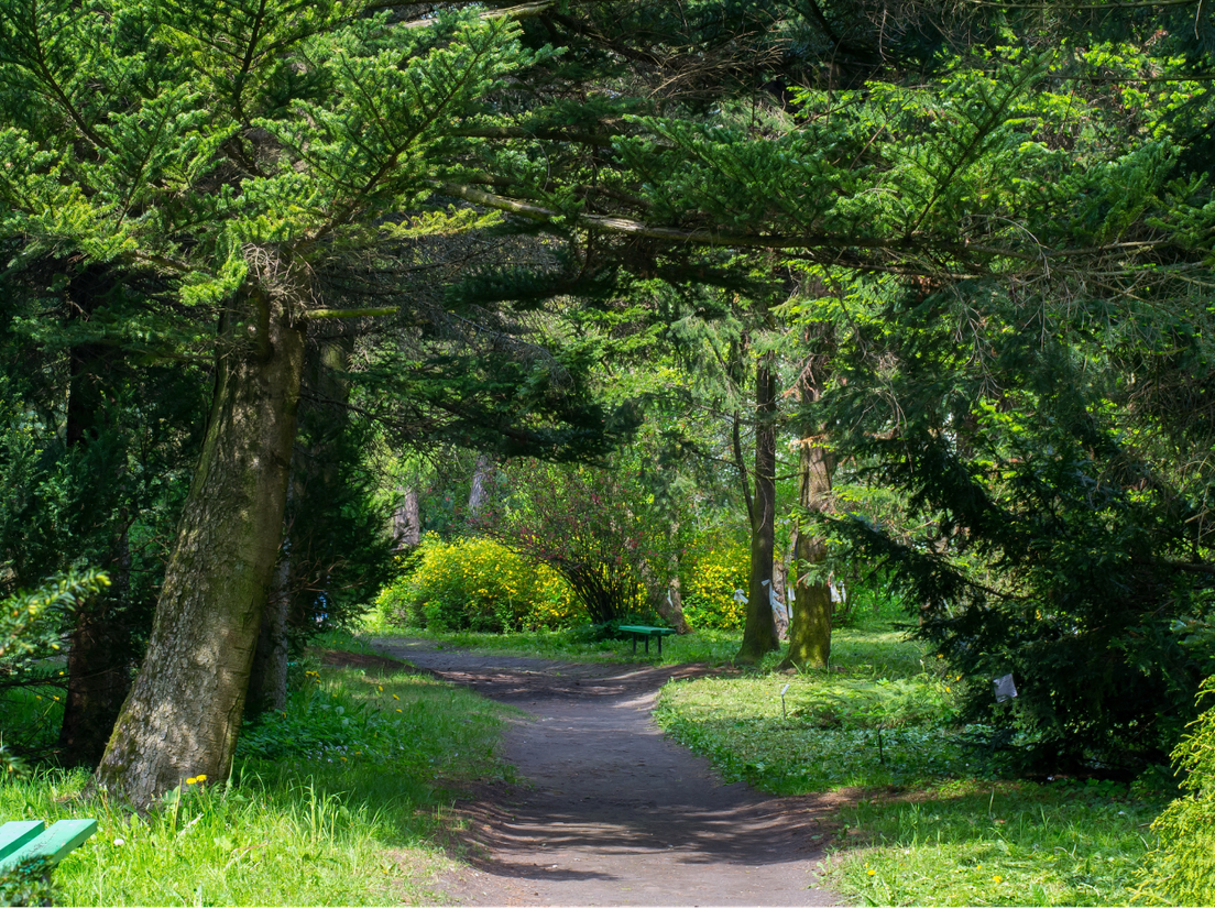 Ботанический сад в Калининграде, фото