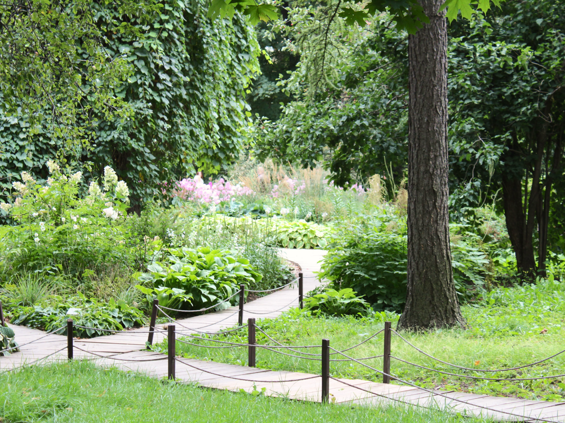 Ботанический сад МГУ, фото