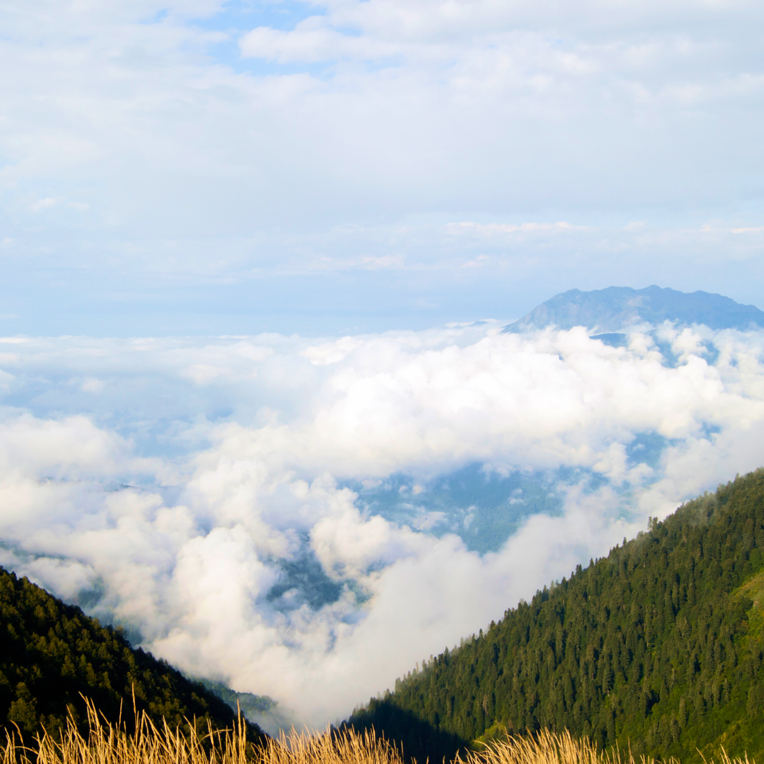 Бзерпинский карниз и его окрестности фото