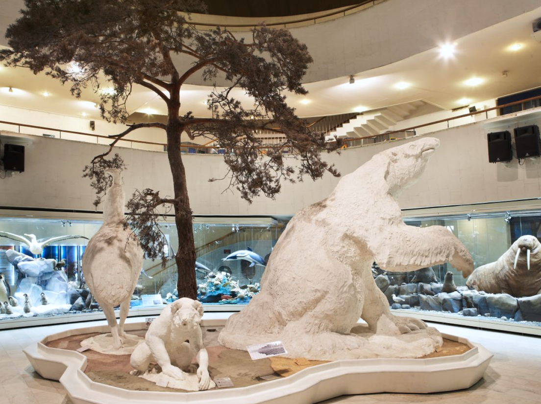 Дарвиновский музей фото