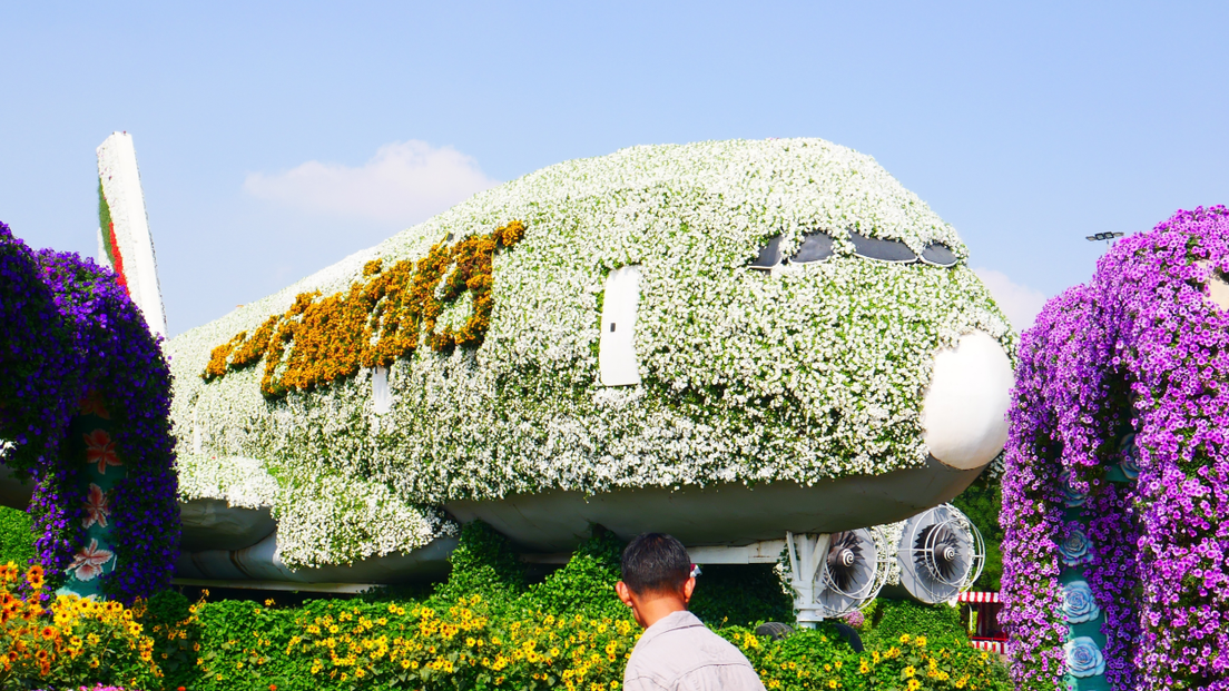Самолет из цветов в Дубае